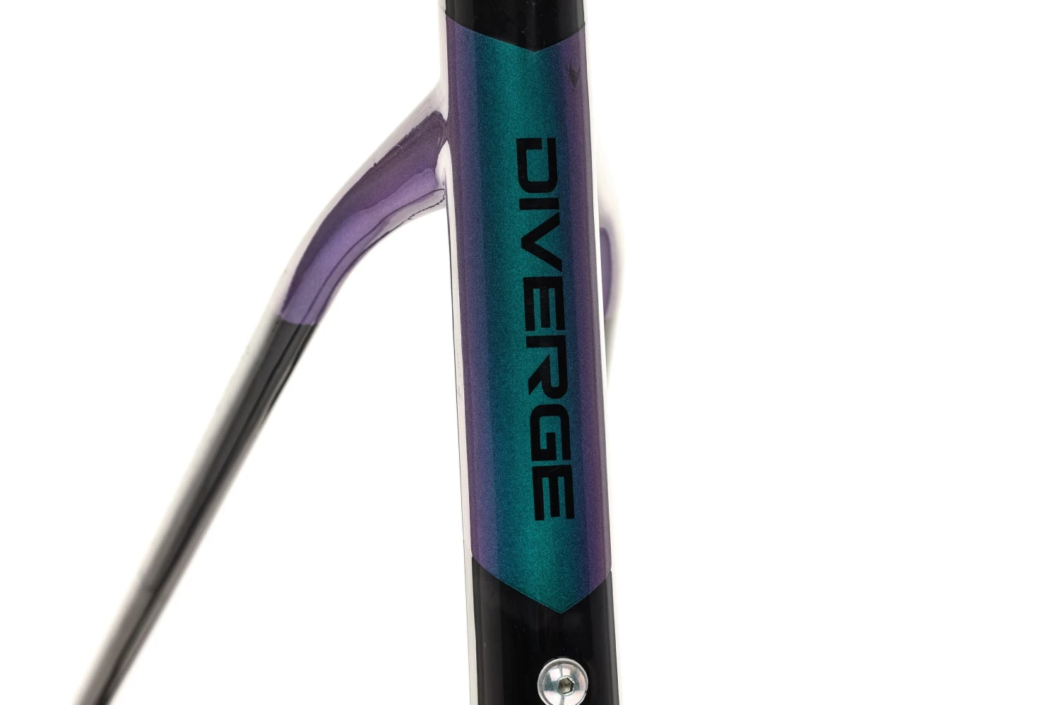 Specialized Diverge Disc 54cm Frameset - 2019 - Image 4